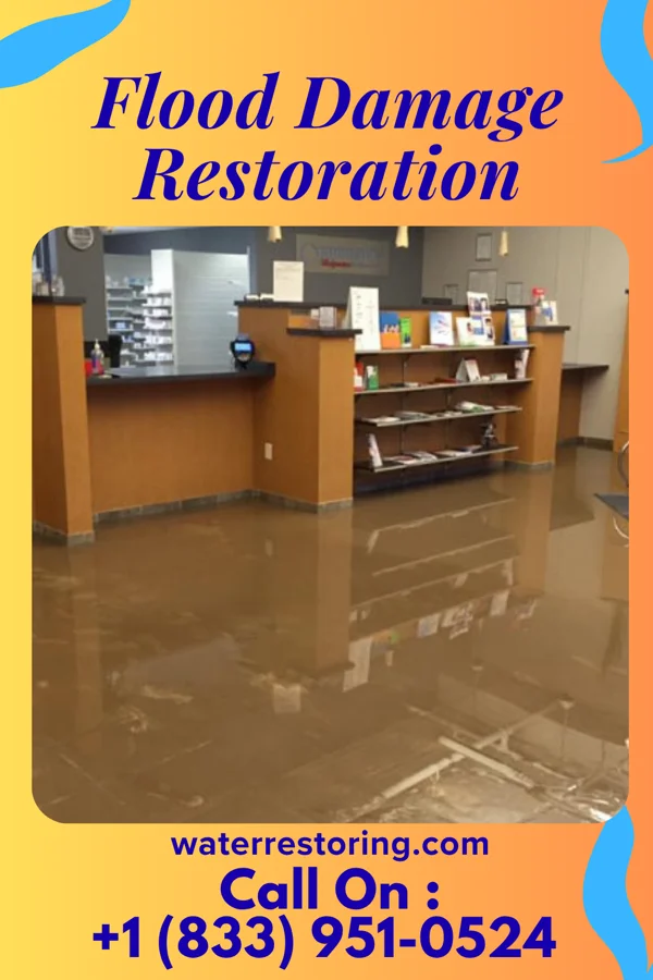 Flood Damage Restoration in Cliffwood Beach, NJ