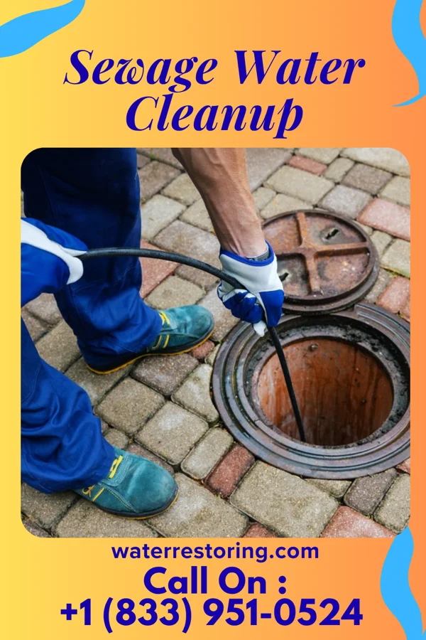 Sewage Water Cleanup in Cliffwood Beach, NJ